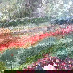 Maya Irawati Dini profile icon