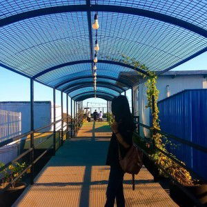 Prillia Dynna S profile icon