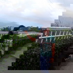 Abi Gail profile icon