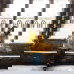 Tiny Pooh-Pae profile icon