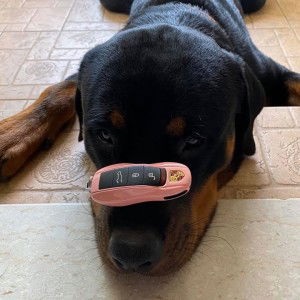 Caren Wong profile icon