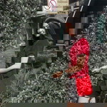 Saowapak PJ profile icon