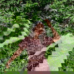 Great Qmy profile icon