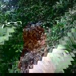 Suphawan'w Namking profile icon