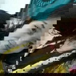 Neng Pesekk profile icon