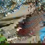 Yolanda Chaterin profile icon