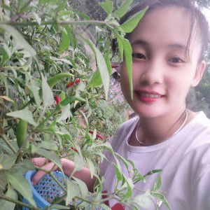 Ngọn Kybo profile icon