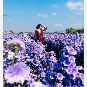 Aey Kaengsiri profile icon