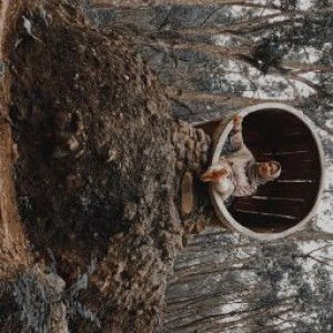 tri adhitiyastuti profile icon