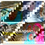 Pencari Ilmu profile icon