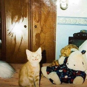 Katsaraporn Phetcharat profile icon