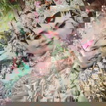 Ivah Ipeh Hanum profile icon