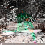 Noor Adilah profile icon