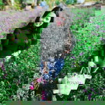 Jitrada Tawan Kukkong profile icon