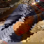 pebliza dwi lasari profile icon