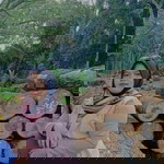 Wafi Yulia Wafi profile icon