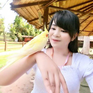 AI Tousab profile icon