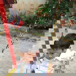 Dina Martina profile icon