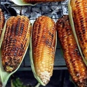 นอนอเรไร เดเดมึไลลา profile icon