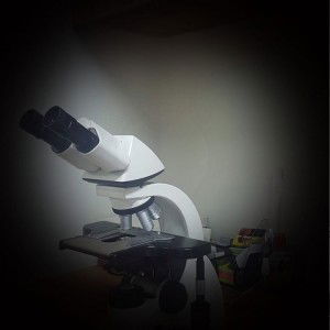 Lenny Sari profile icon