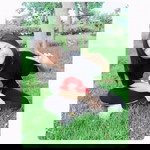 พิมพ์ ยังไง profile icon