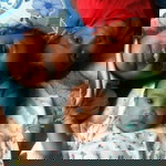 ปลายมาศ ชูนาค profile icon