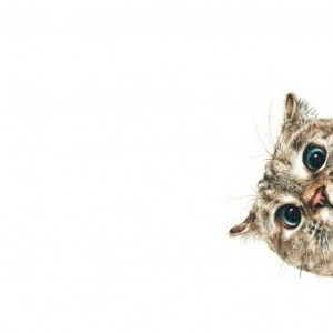 CazYan Aman profile icon