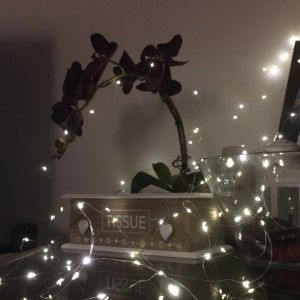 FiqFia KelipKelip profile icon