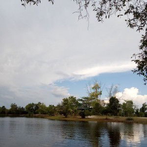 Dali susilawati profile icon