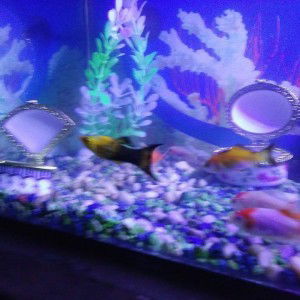 M Jack Regama profile icon