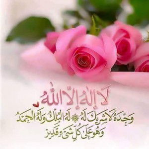 Ina Halim profile icon