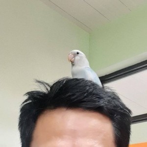 Raynel Bada profile icon