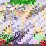 Maswati profile icon