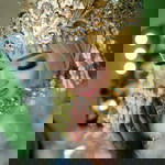 Rohmatul Hanifah profile icon