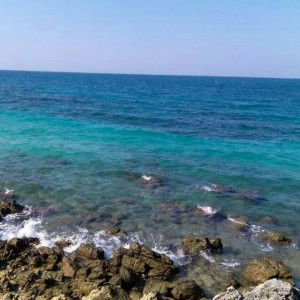 เปรมฤทัย เวียกไธสงค์ profile icon