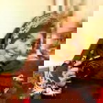Farlina Parius profile icon