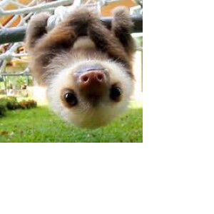 ชูใจ น้องพี่ชัตเตอร์ profile icon