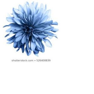 พ่อน้องนนท์ น้องนที profile icon