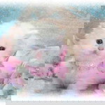 Dewi Lastri profile icon