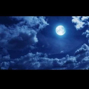 ณัฐพงษ์ ทิพฤาตรี profile icon