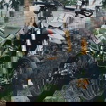 Mahluk Bumi profile icon