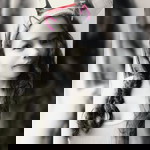 Amanda Jhen Melon profile icon