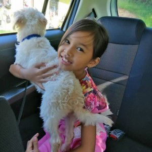 Akoi Jack profile icon