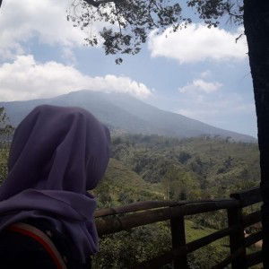 Marselinaseli profile icon