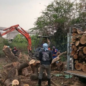 รับตัดต้นไม้ รับเคลียร์พื้นที่ profile icon