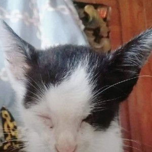 Monique profile icon