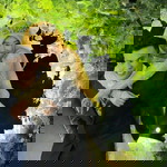 Kiky Fitria profile icon