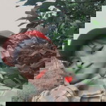 Quỳnh Mũmm profile icon