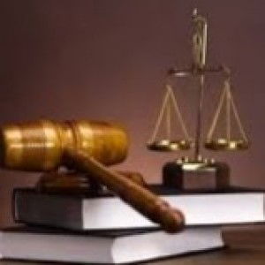 Safia Saeed profile icon