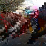 Adhyelha Sholeh profile icon